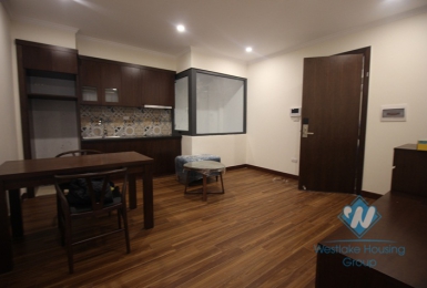 Brand new superior one bedroom for rent in Cau Giay.